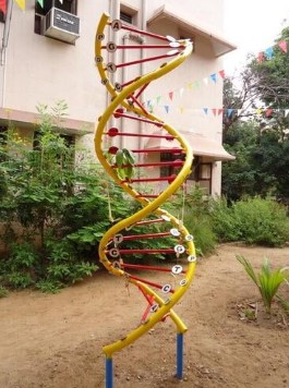 Interactive science park equipment designed to engage and educate children and visitors with hands-on learning experiences in physics, mechanics, and natural sciences.